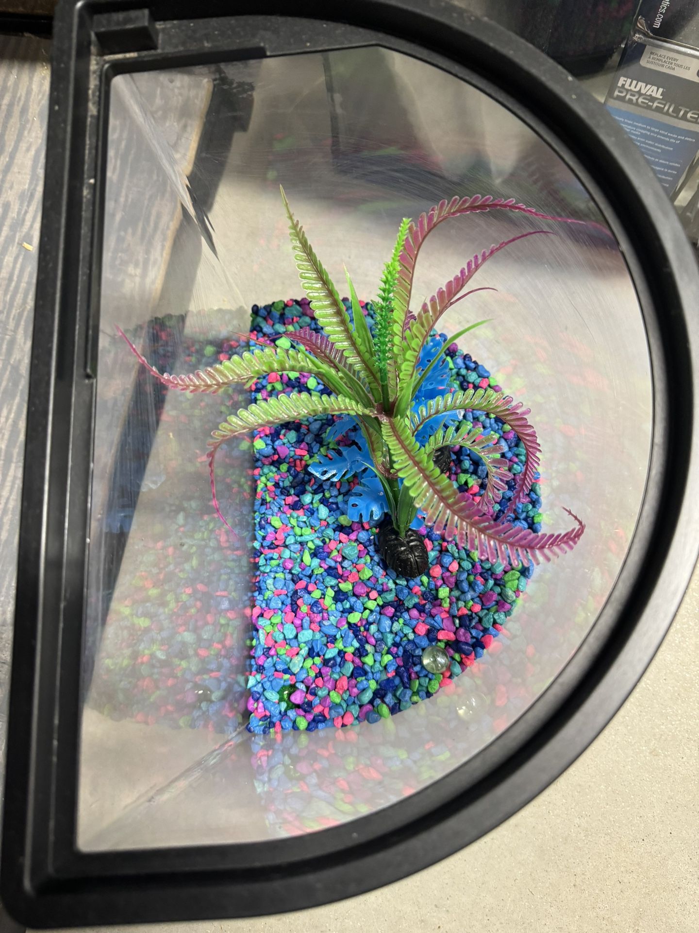Fish Tank