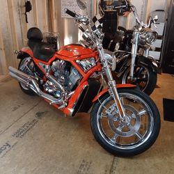 2005 Harley Davidson VROD