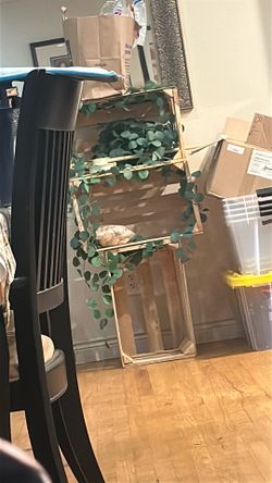 Decorative wooden crates with eucalyptus vines
