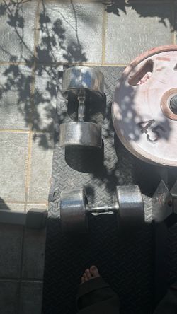 80lb dumbbells (firm)