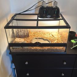 Reptile Aquarium 