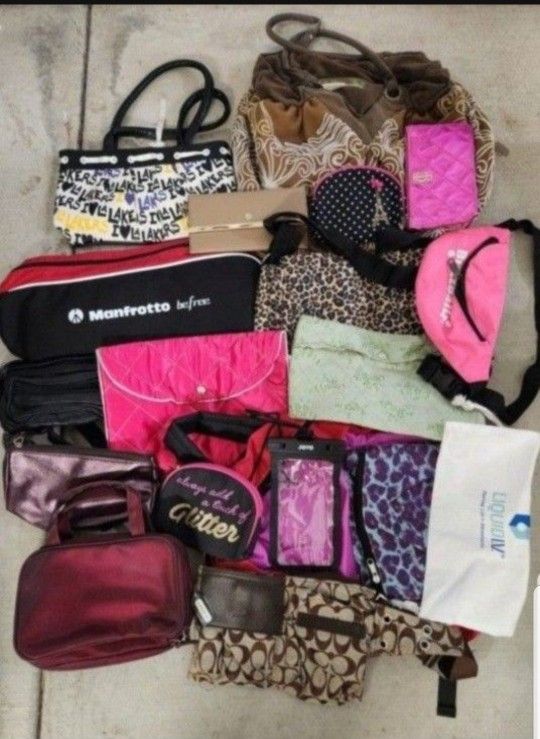 Bag Full Of Purses For $20