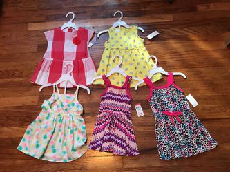 12 month little girl clothing $20