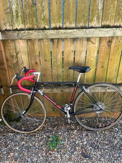 XS Bianchi