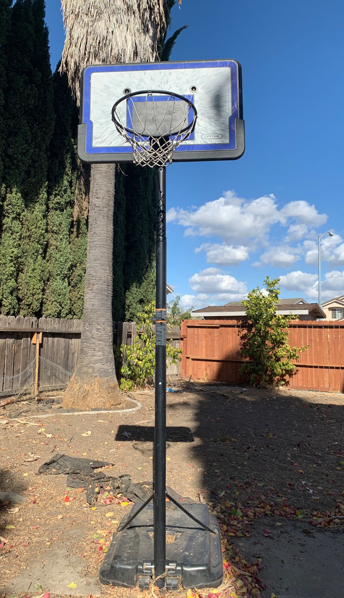 LifeTime basketball hoop