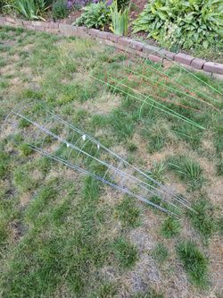 Tomato cages