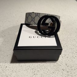Gucci Belt -32