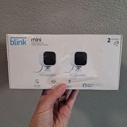 Blink mini 2 cameras