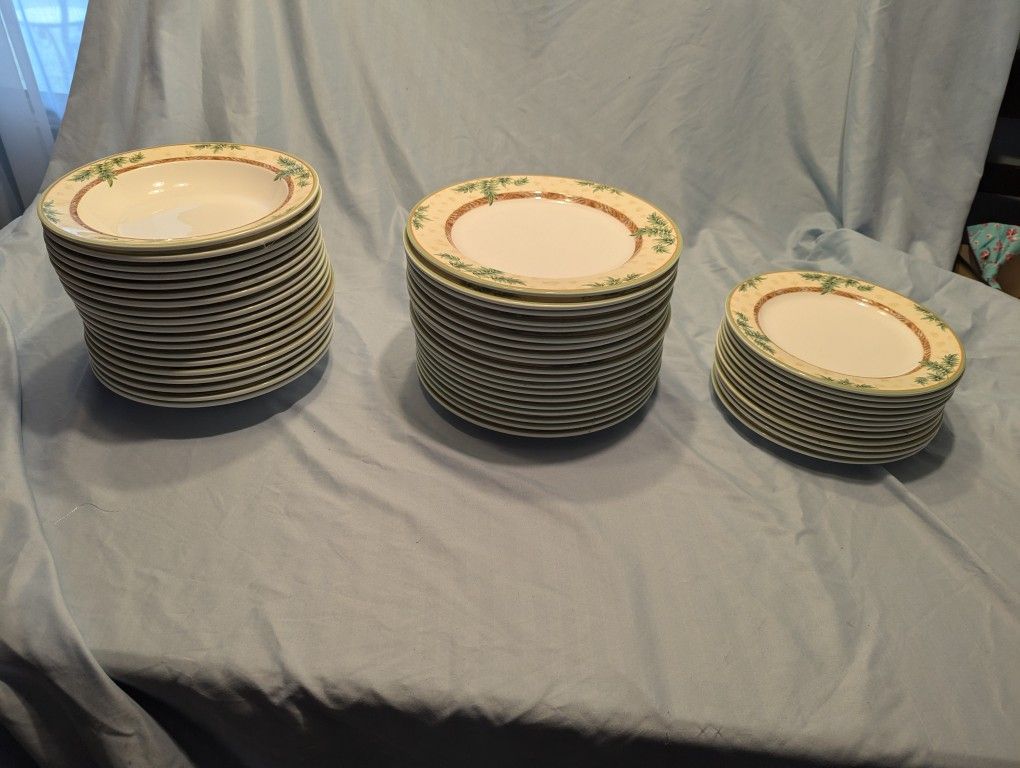Fortessa Bone China Plates Bowls 50 Pieces 