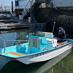 Boston Whaler 