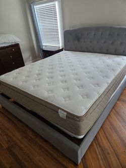 Kim Bed