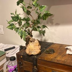Copper Wire Tree With Leaves. Make Offer