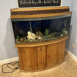 Fish Tank Aquarium 