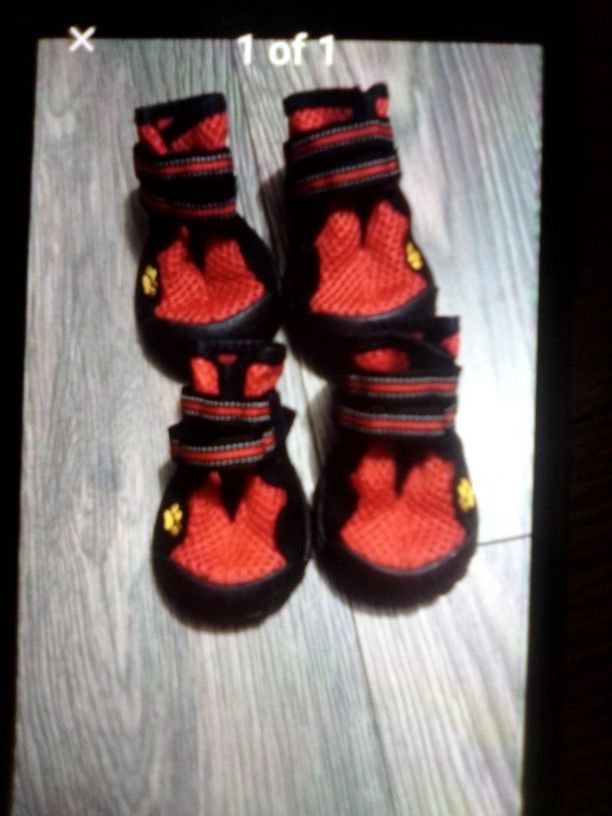 Tenis Para Perro Size 5.