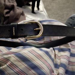 Coach Belt