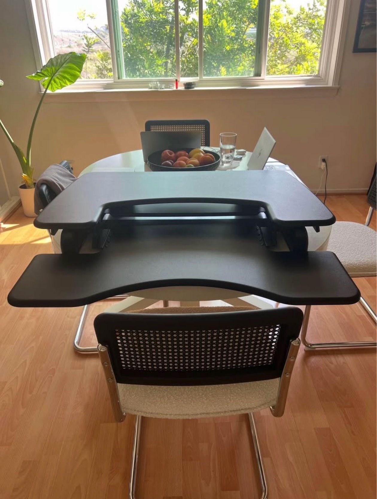VariDesk Adjustable Standing Desk — Originally $429!