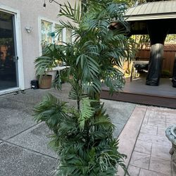 Faux Indoor 6 Foot plant Decoration Palm Tree