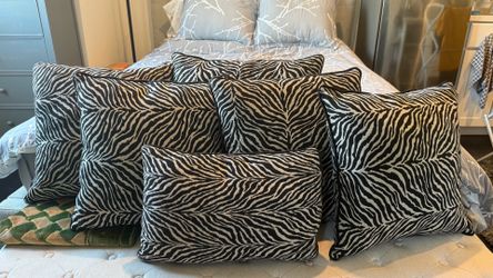 Zebra pillows x6