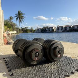 95 lbs dumbbells pair