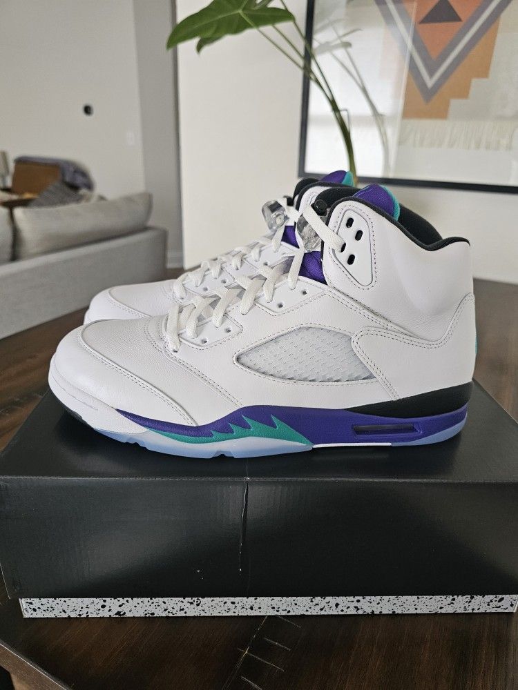 Nike Air Jordan 5 Retro Grape Mens Sz 11.5