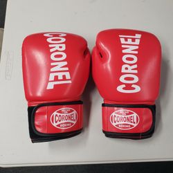 Boxing Gloves 