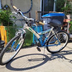 Road Bike 