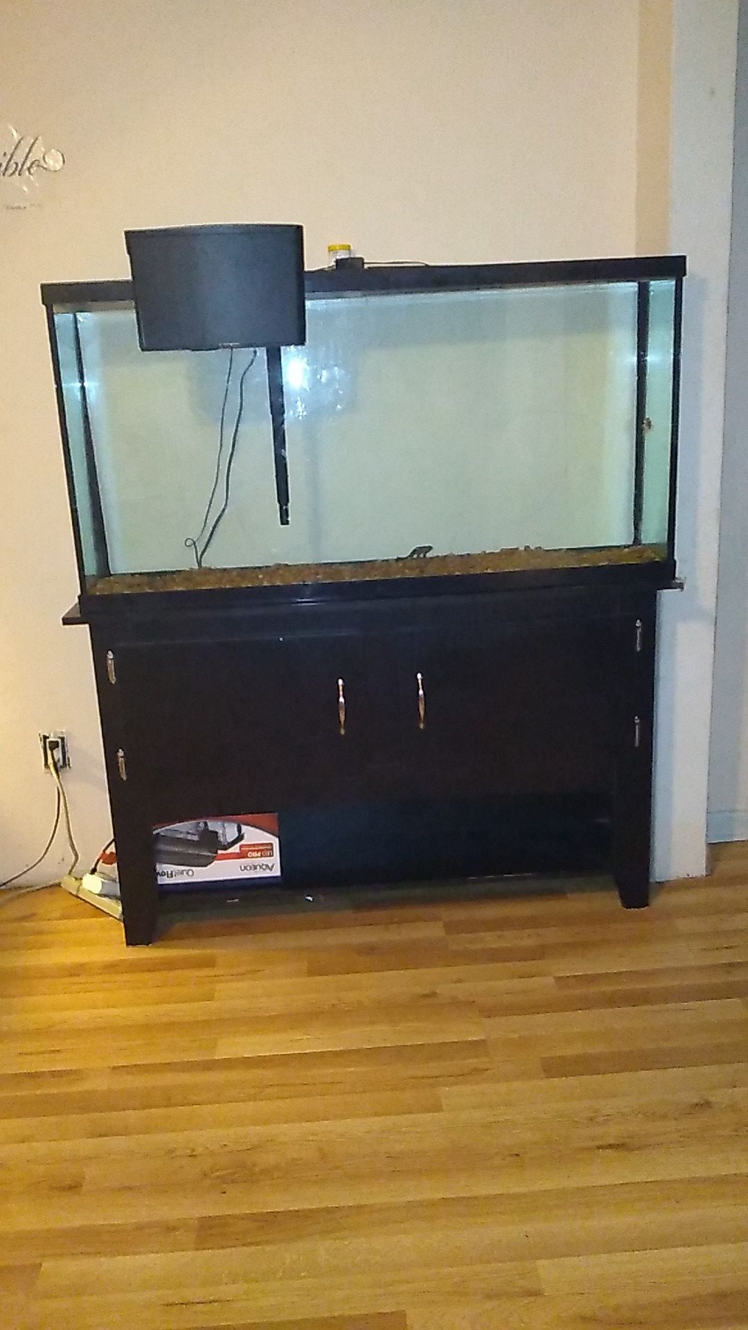 60 gallon fish tank With Stand