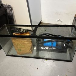 XXL Fish Tank