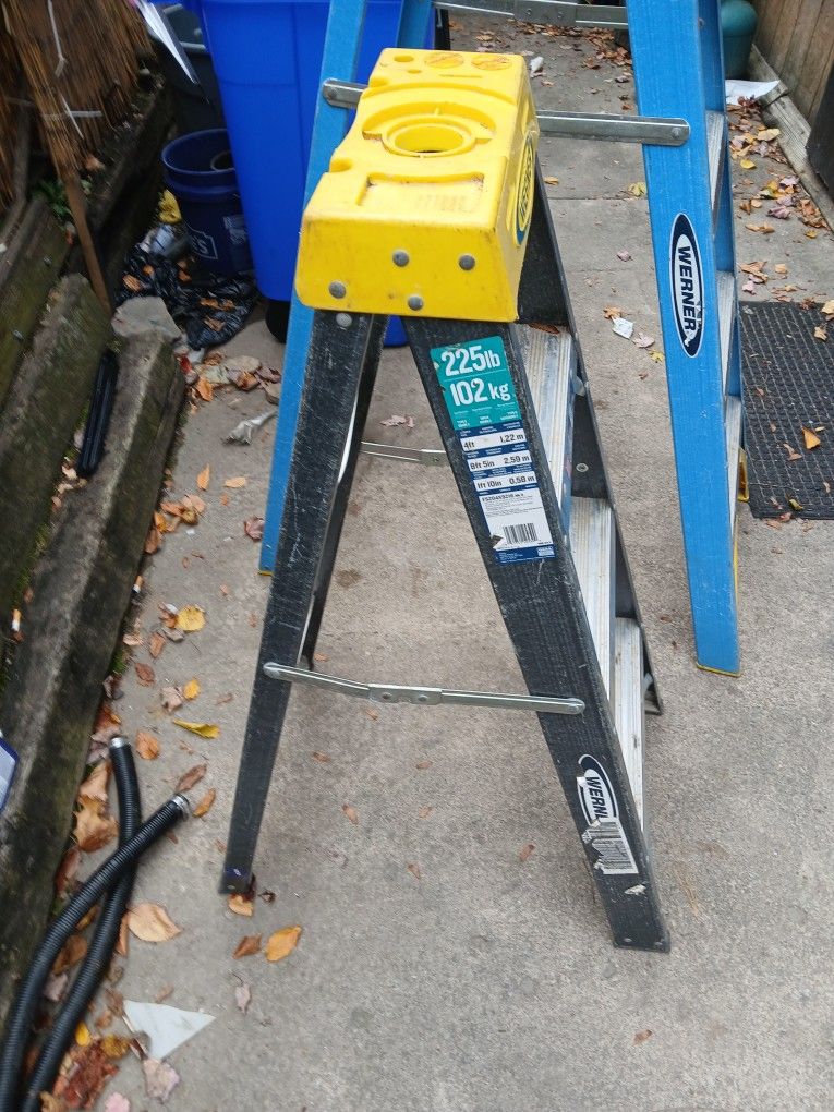 Werner Ladders 4' & 6' Weight Capacity Is 250lbs.