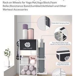Fitness Equipment Storage Cart