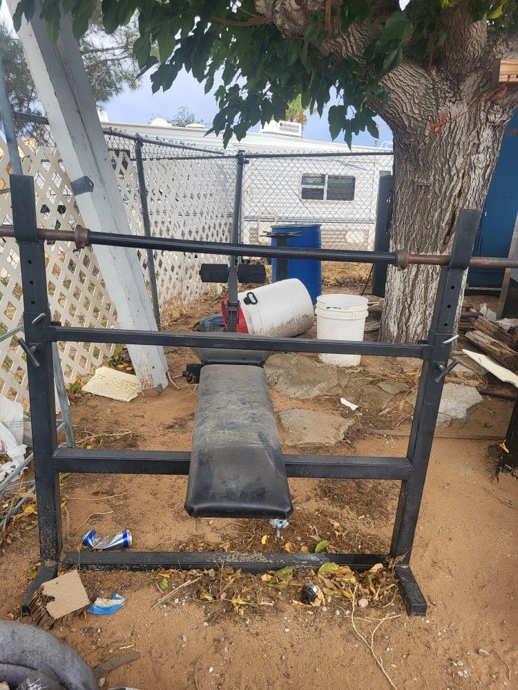 Weight Bench And Weights