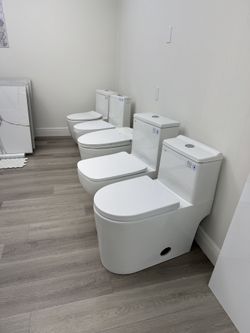 One Piece Toilet 