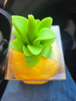 Pineapple Shape squishy