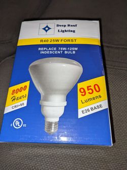 Deep Roof lighting Indecent Bulb