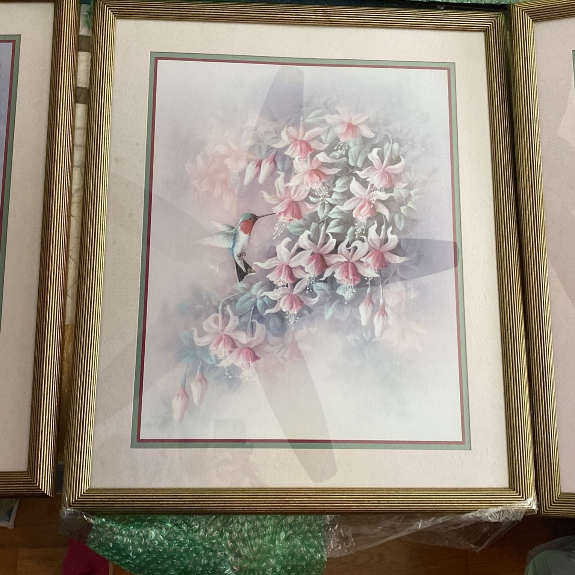 Collection. With Flowers And Humming Bird.