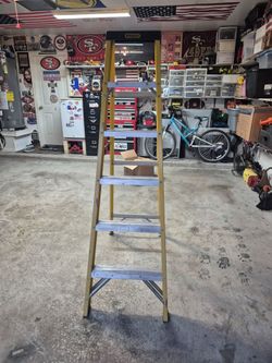 Ladder 6'
