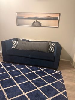 Pull out couch (NEED GONE ASAP!!!!!!!)