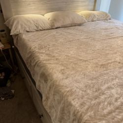 Adjustable King Bed With Headboard and Frame