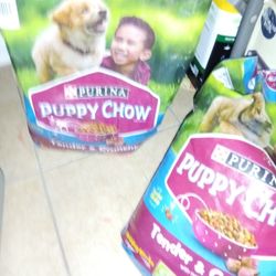 dog food/dog toys