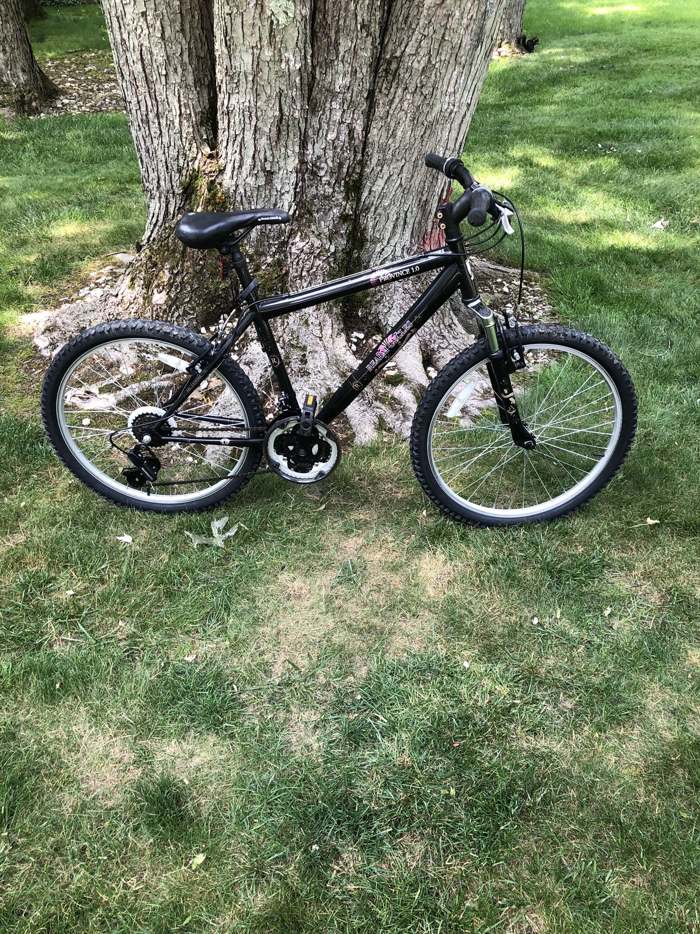 24” Mountain Bike