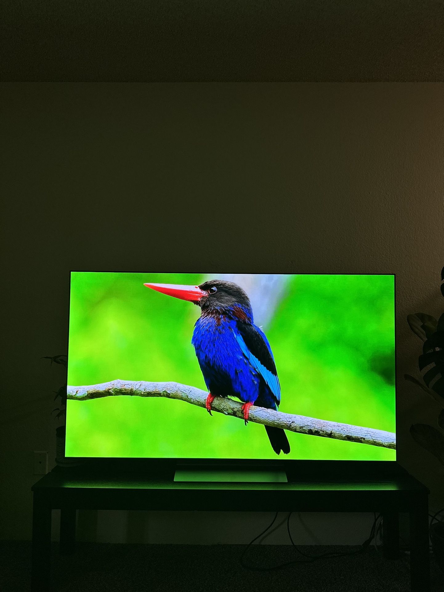 65” LG 4K OLED EVO