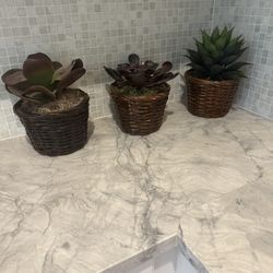 Fake Succulent Plants 