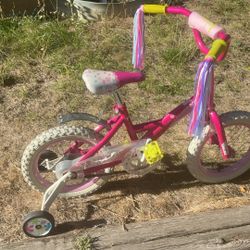 14in Lalaloopsy  Themed Bike