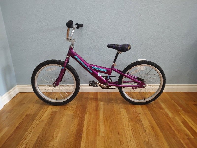 20" Trek Mountain Lion BMX Kids Bike