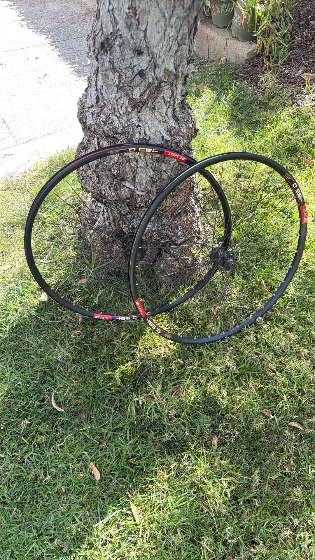 $50 DT Swiss 29” Man Wheels