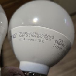 60 W Light Bulbs