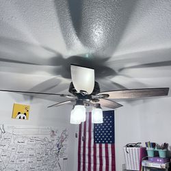 Hunter 52 Inch Ceiling Fan