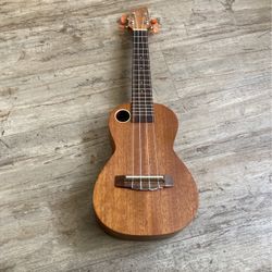 Riptide Concert ukulel