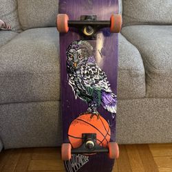 Welcome Skateboard with Owl Graphic