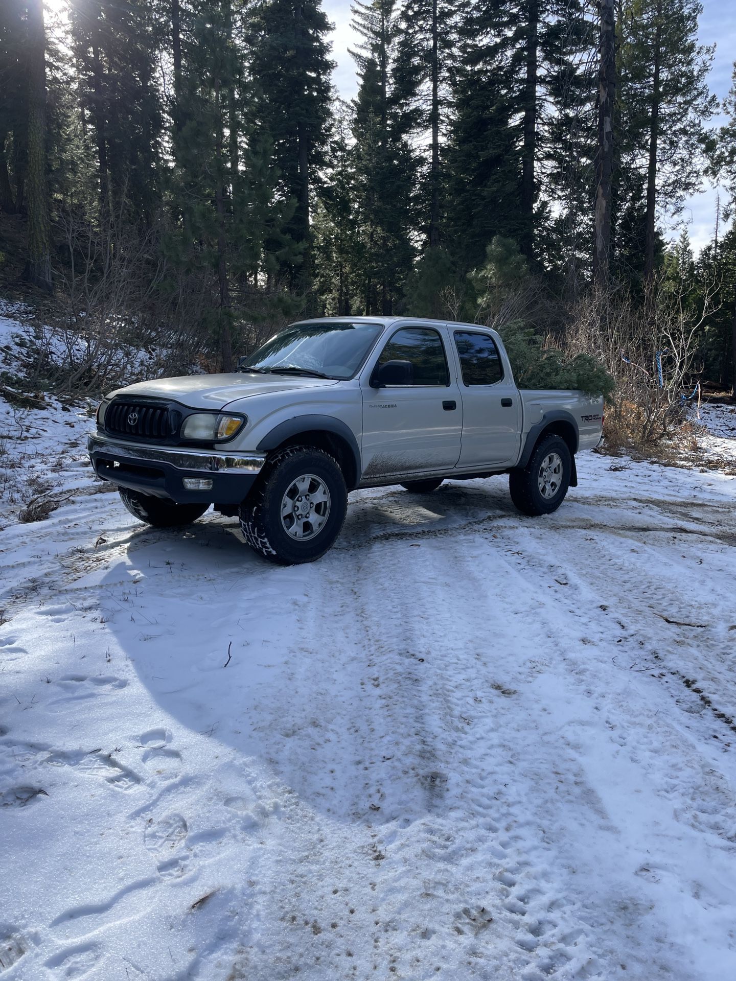 2001 Toyota Tacoma